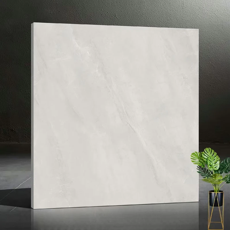800×800 12mm Matte Glazed Porcelain Floor Tile Non-Slip Antibacterial Features Modern Design for Villa Indoor Commercial Use