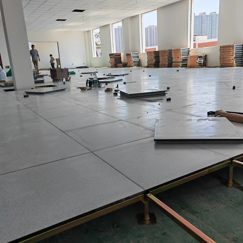 Anti Static Raised Access Floor Data Centers Server Rooms 600x600mm Raised Floor