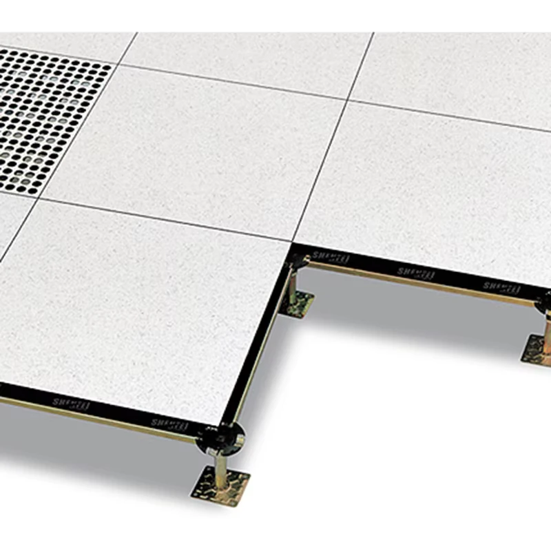 Anti static Flooring Changzhou Raised Computer Room 600*600mm Floor Tile