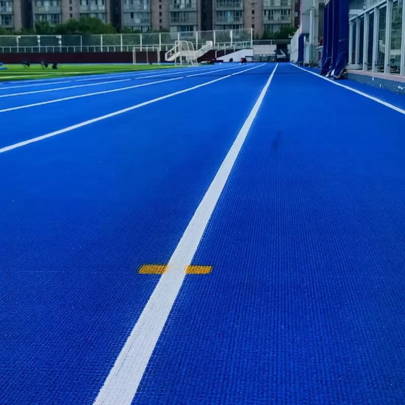Durable Prefabricated Plastic Soft Waterproof Eco Friendly Sport Flooring for Sports Fields and Athletic Tracks