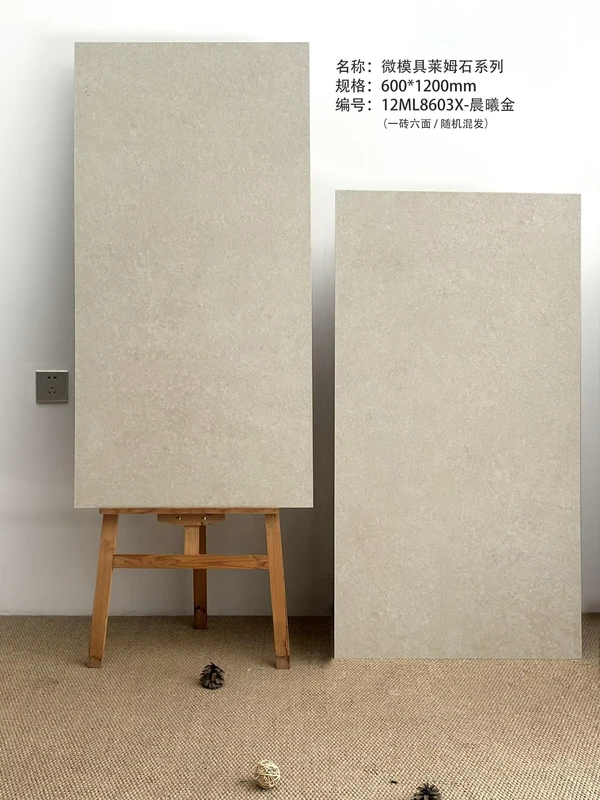 Luxury Home Design 600×1200 Porcelain Floor Tile for Living Room
