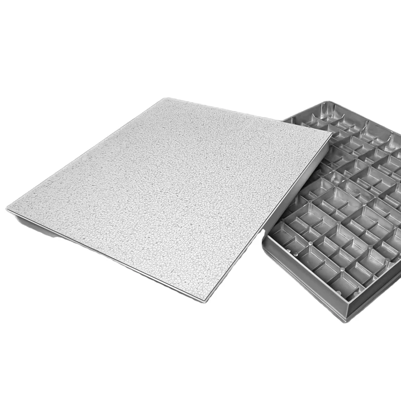 Modern Design Style Anti Static Aluminum Raised Floor for Clean Room Workshop Application