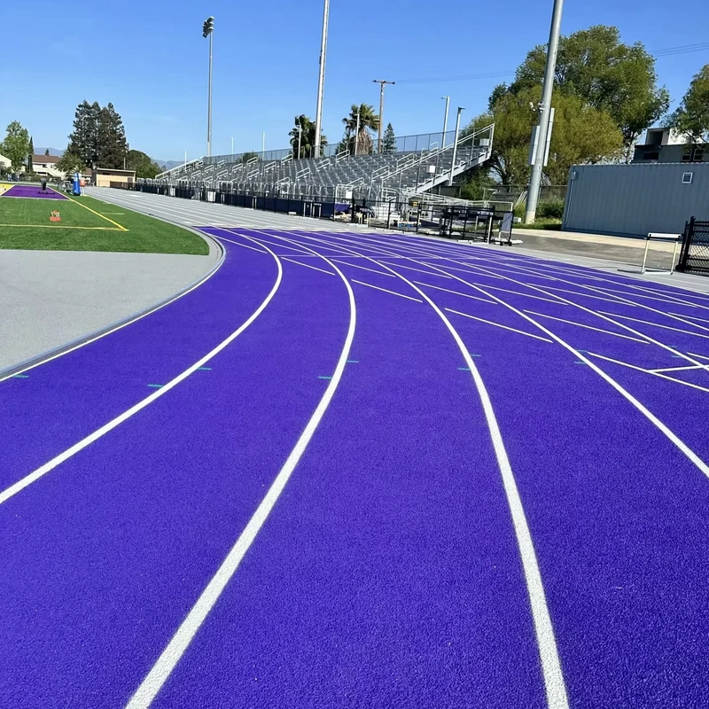 Outdoor Sports Flooring Sandwich System Rubber Running Track Tartan Athletics Field for Running & Training
