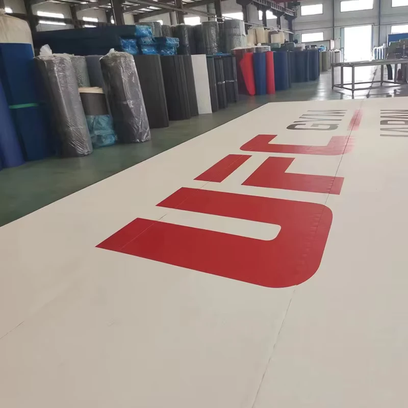 Qt BJJ Tatami Custom Gym Floor Mat Karate Taekwondo Judo Mats Martial Arts Tatami Jiu Jitsu Wrestling Mat