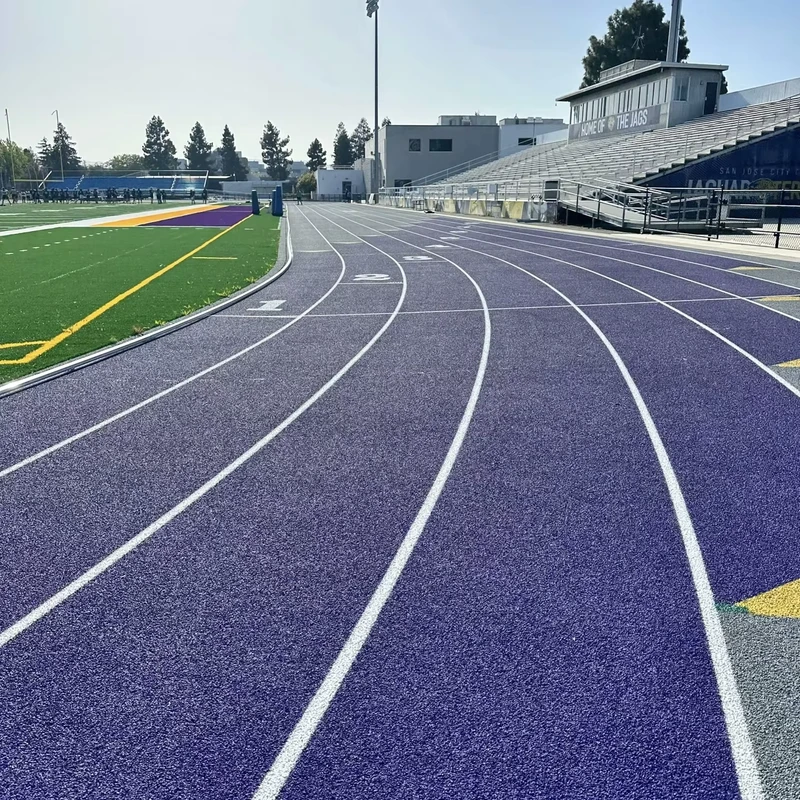 Standard Construction Running Field with 400m Synthetic Tartan Track Sandwich System Sports Flooring